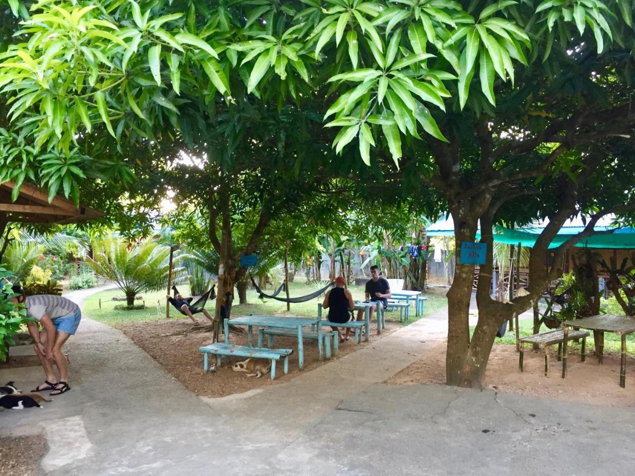 Fat Monkey Hostel Coron Eksteriør bilde